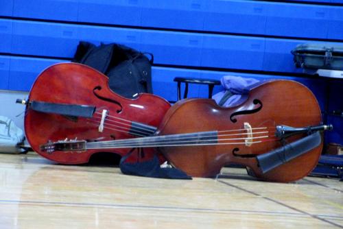 Basses By Rachael White